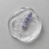scorvicstudio profile picture