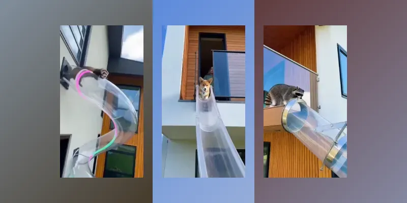 Viral Pet Tube Slide Videos generated by undefined