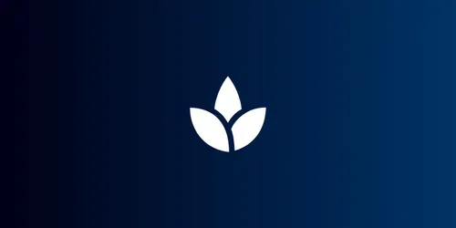Personalized Vegan Meal Generator generated by gpt