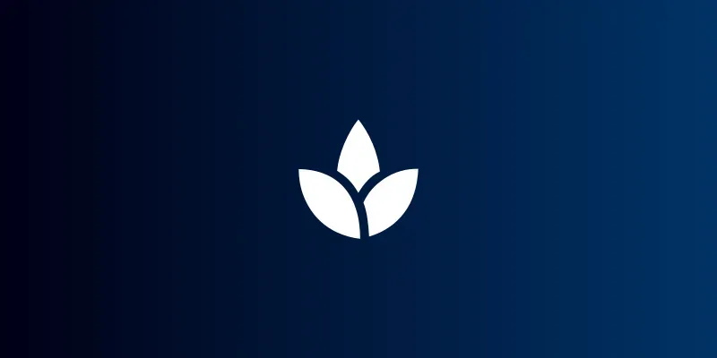 Personalized Vegan Meal Generator generated by undefined