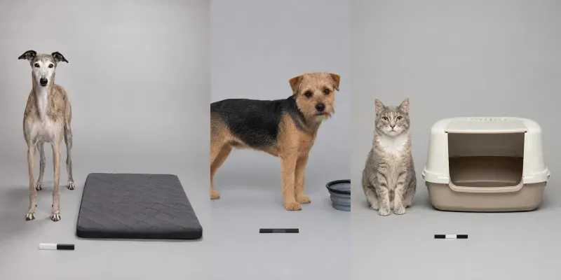 Pet Product Scale Proofs generated by undefined