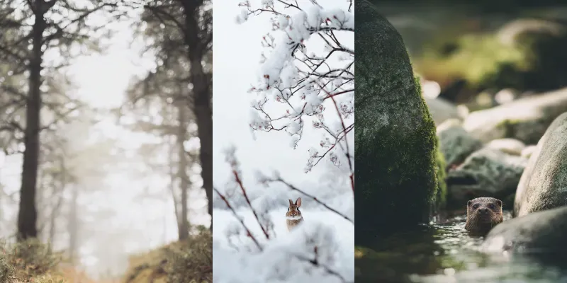 Wallpaper Maker Secret Wildlife Scenes generated by undefined