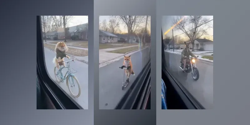 Bus Window Magic generated by undefined