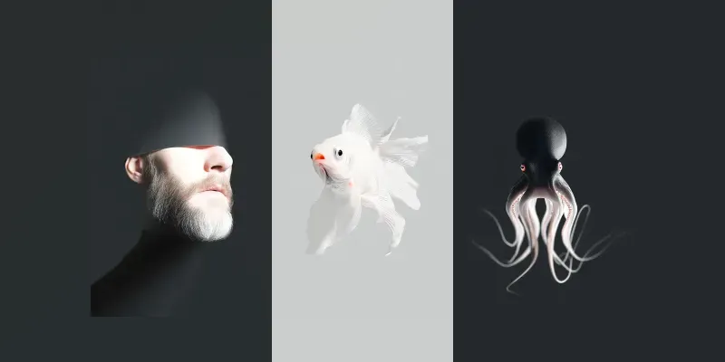 Minimal Symbolic Photography