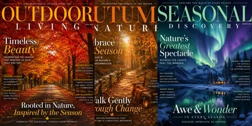 Seasonal Magazine Cover Collections generated by chatgpt-image