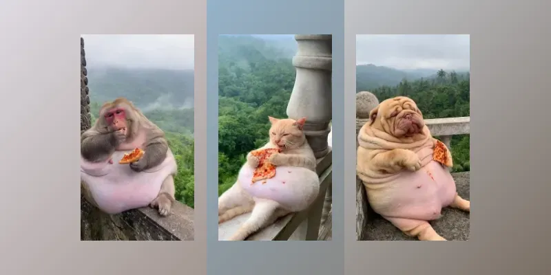 Pizza Loving Animal Feasts generated by undefined
