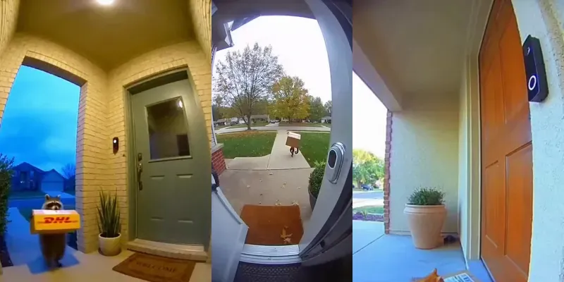 Animal Delivery Doorbell Cams generated by undefined
