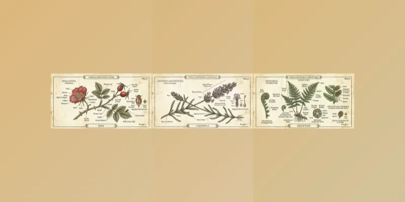 Vintage Botanical Anatomy Illustrations generated by undefined