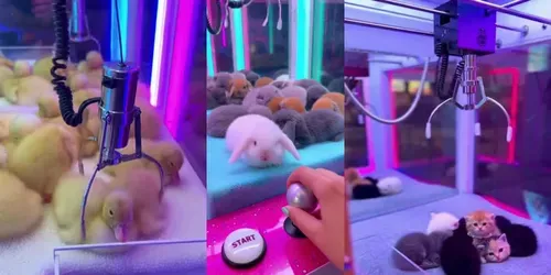 Cute Animal Arcade Claw Machine Videos generated by sora