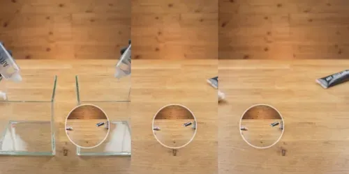 Create Duals Of Jelly Animals generated by kling