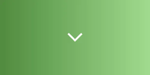  Working Outline Builder generated by claude