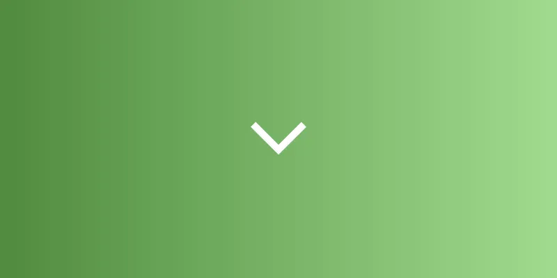  Working Outline Builder generated by undefined