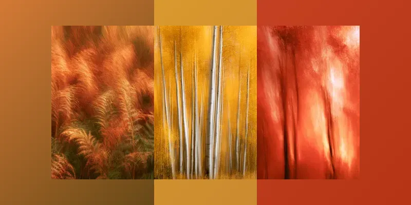 Icm Photography