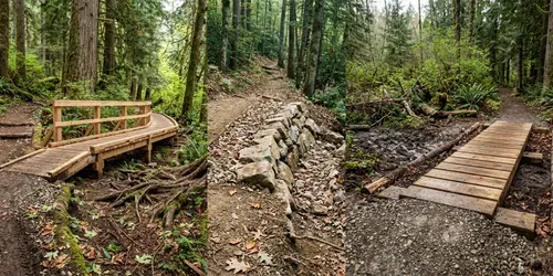 Forest Trail Restoration Photo Builders generated by gemini-image