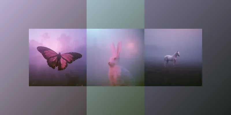 Pink Dreamcore Analog Photography