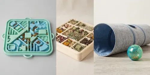 Pet Enrichment Rotation Photo Builders generated by gemini-image