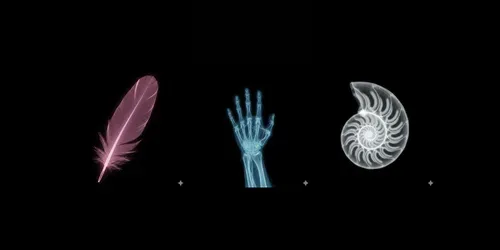 Ethereal Cybernetic Xray Art Generator generated by gemini-image