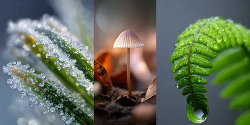 Macro Nature Wonders generated by midjourney