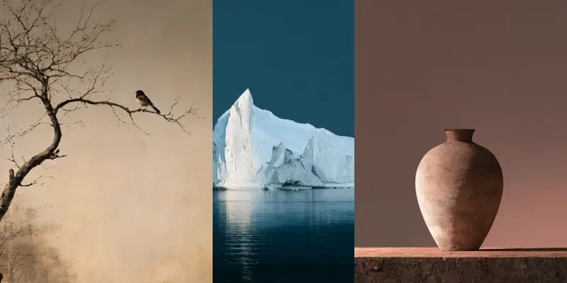 Quiet Nature Studies generated by undefined