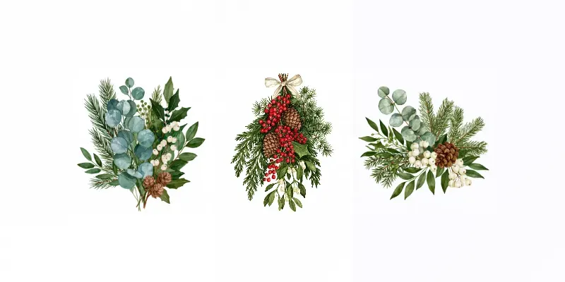 Christmas Botanical Watercolor Cliparts
