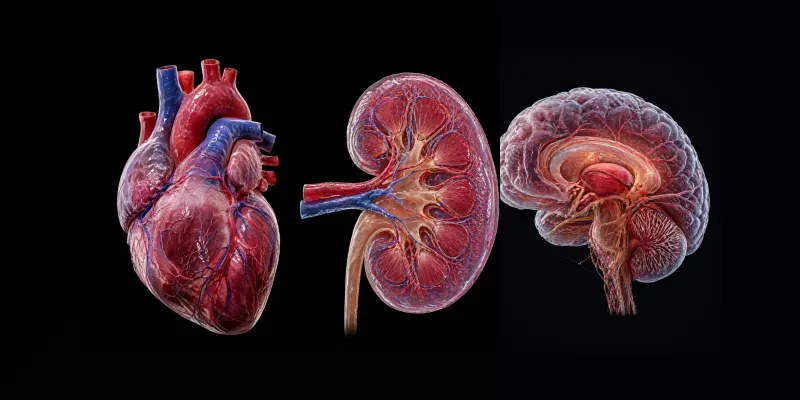 3D Medical Illustration Masters generated by undefined