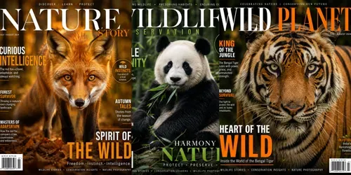 Wildlife Magazine Cover Creators generated by chatgpt-image