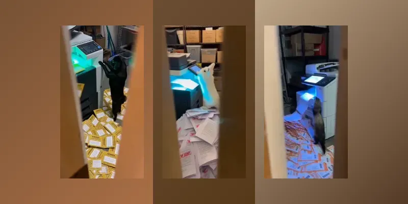 Caught In The Act Animal Memes generated by undefined