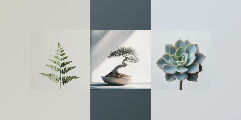 Beautiful Plant Photography
