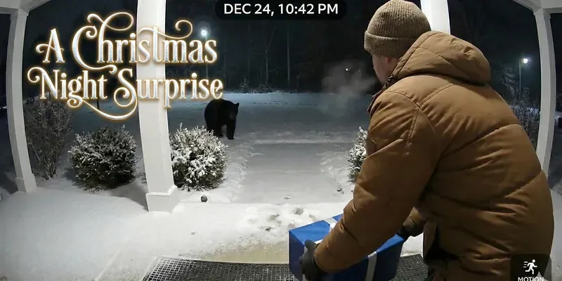 Christmas Night Surprises generated by undefined
