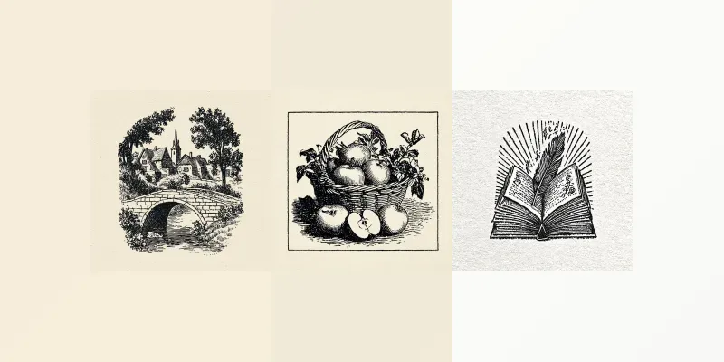 Vintage Engravings 19thcentury Woodcuts