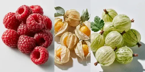 Wild Berries Stock Photos generated by midjourney