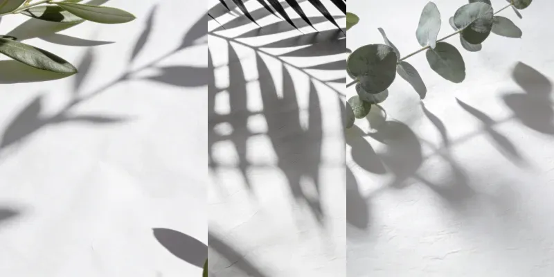 Botanical Shadow Light Overlay Generator generated by undefined