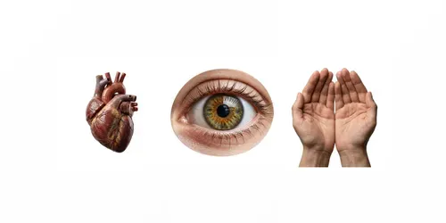 Clean White Background Subject Images generated by gemini-image