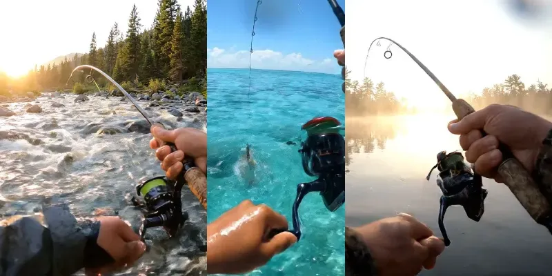 Pov Fishing Catch Videos generated by undefined
