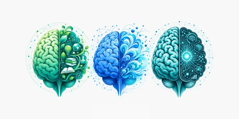 Premium Brain Vector Collections generated by undefined