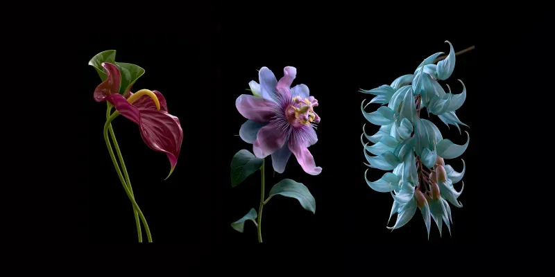 Luxury Botanical Studio Portraits generated by undefined