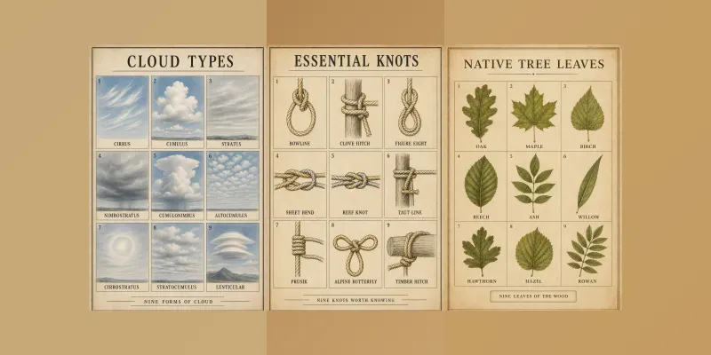 Field Guide Chart Studios generated by undefined