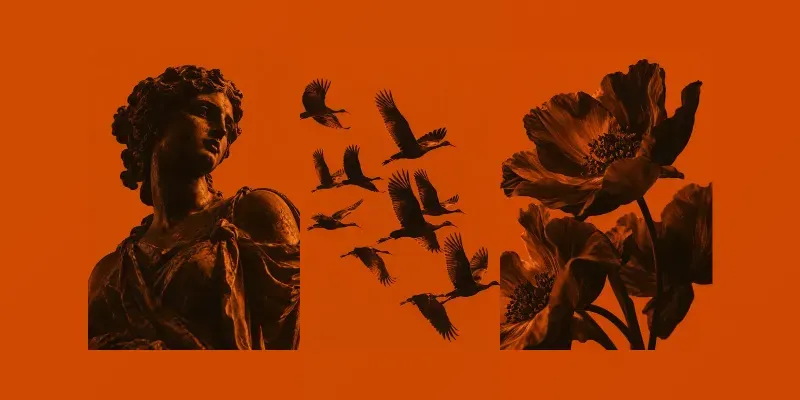 Dark Orange Minimalist Duotone Photos