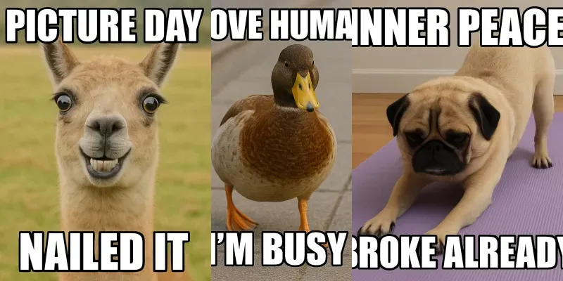 Meme Animal Generators generated by undefined