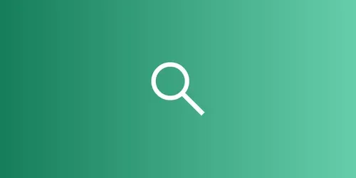 Local Discovery Leak Auditor generated by gpt