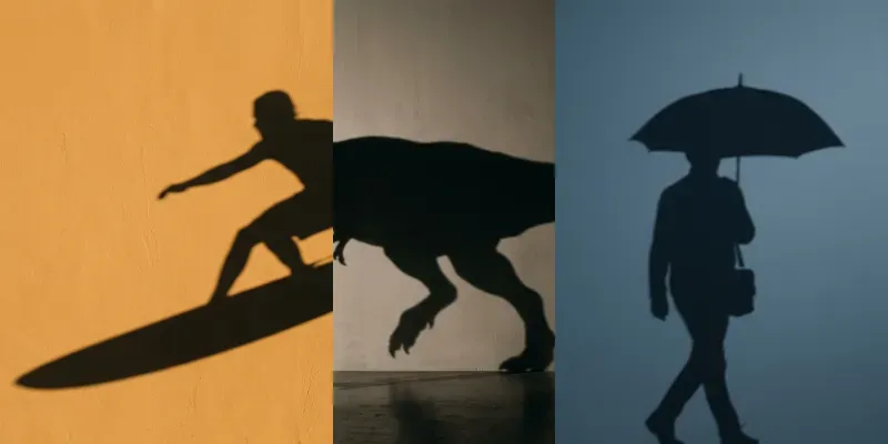 The Unseen Cast Shadows generated by undefined