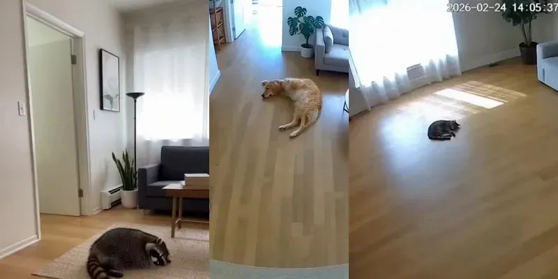 Realistic Security Camera Animal Pranks generated by undefined