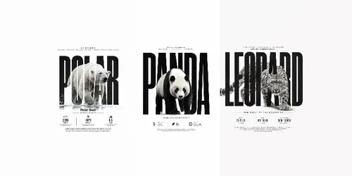 Bold Typography Wildlife Posters generated by chatgpt-image