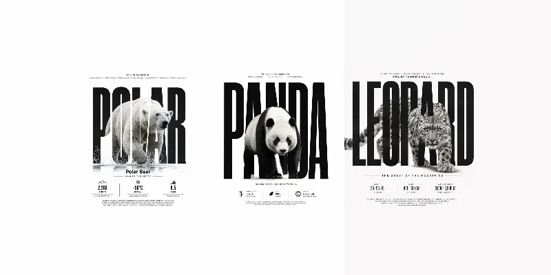 Bold Typography Wildlife Posters generated by undefined