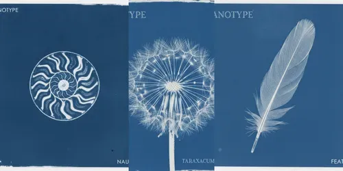 Cyanotype The Blueprints generated by gemini-image