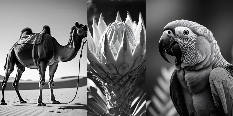 Blacked generated by undefined