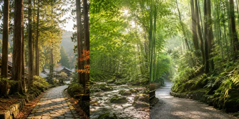 Japan Mood Japanese Forest Retreats generated by undefined