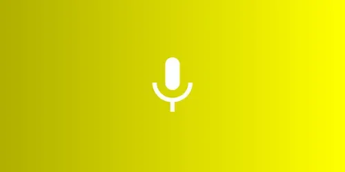  Voice Tone Matcher generated by claude