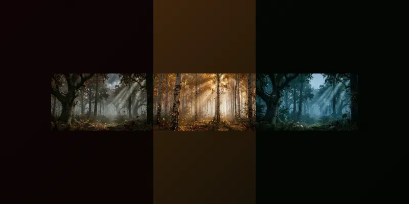 Cinematic Forest Scene Generator