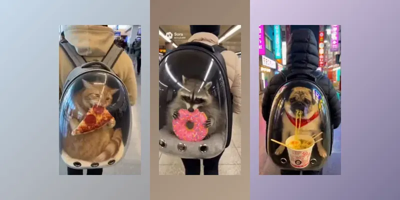 Viral Pets In Backpacks generated by undefined